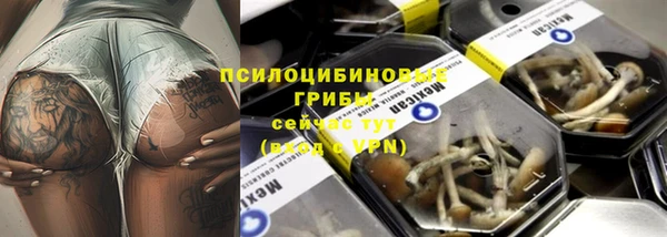 прущие крисы Баксан